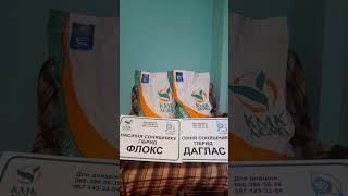 Соняшник "Даглас" та "Флокс" (КМКагро) від НВА "Пілігрим"