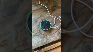 Alexa, please explain this...