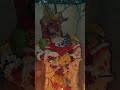 Tulsi Vivah 🙏🙏 Sanatani parampara 🙏🙏