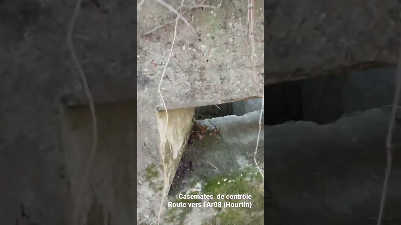 Inside Atlantikwall - AR08 - Casemates de surveillance vers l’Ar08 (Hourtin)