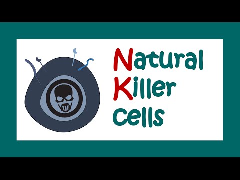 Video: Vooruitgang In Meerdere Omics Van Natural-killer / T-cellymfoom