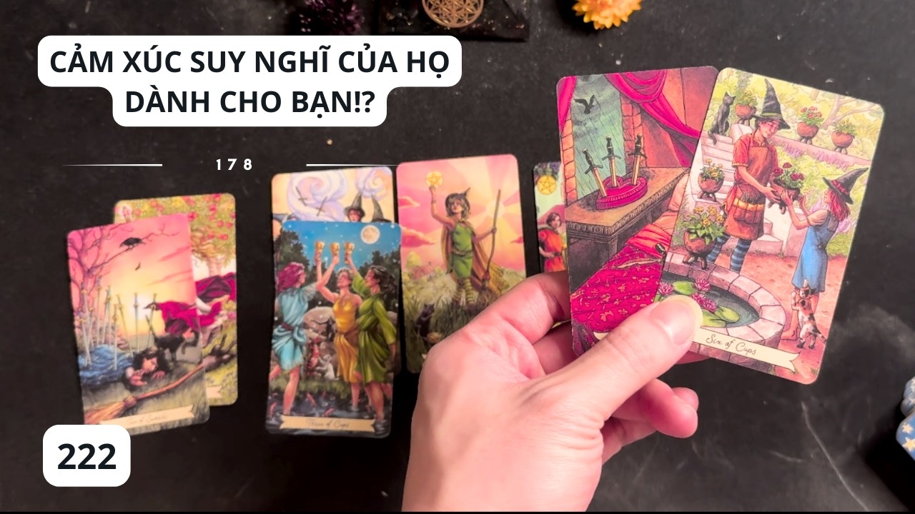 Người Bạn Đang Nghĩ Tới - Suy Nghĩ Cảm Xúc Hành Động Của Họ Dành Cho Bạn - Thông điệp từ trái tim.