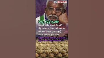 YV Subba Reddy Denies Ghee Corruption, Slams 