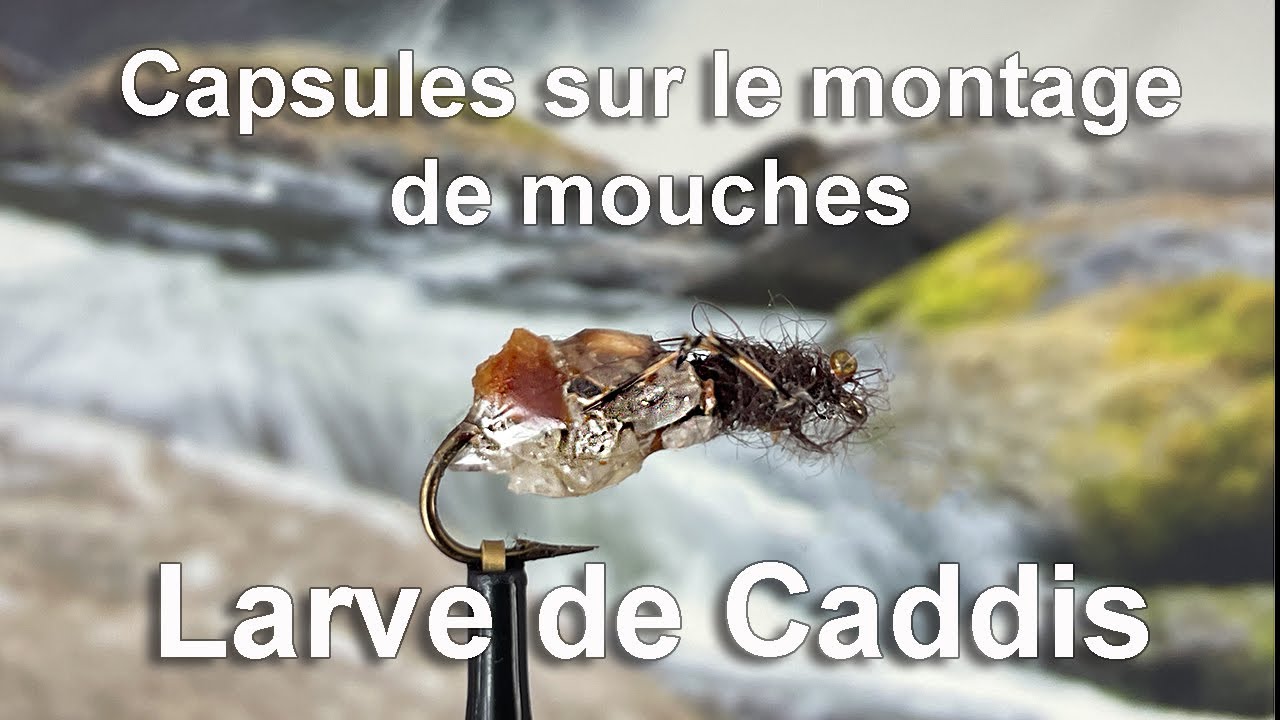 78- Larve de Caddis (fourreau) HD