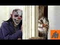 Funny Cats Scared of Masks - Part 4