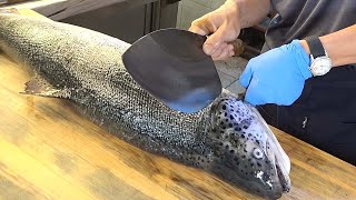 How To Fillet a Whole Salmon for Roll sushi - Taiwanese street food