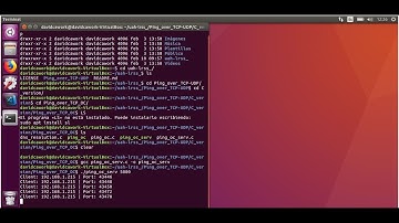 Demo  TCP Ping | Sockets in C  (Outside Ping) Server - Client