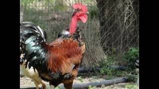 Día de campo en estancia histórica "La San Antonio" 4 de octubre de 2015