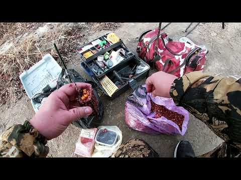 РЫБАЛКА осенью на реке АХТУБА. Поймал ТРОФЕЙНОГО карася !!!))))