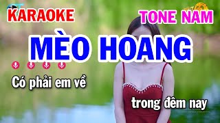 Karaoke Mèo Hoàng Tone Nam Cm || Nhạc Sống Tuấn Cò