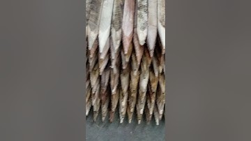 Piedmont wood running stakes