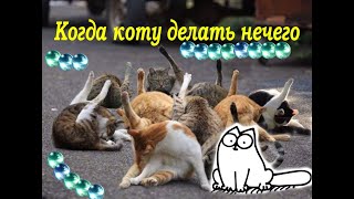 Если забыл кота покормить #3.Приколы про котов,кошек и собак.Кот и куры. Если забыл кота покормить #3.Приколы про котов,кошек и собак.Кот и куры.