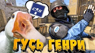 ГУСЬ УПРАВЛЯЕТ МОЕЙ ИГРОЙ в COUNTER STRIKE 2 🔥 ЗАДАНИЯ ГУСЯ ТЕПЕРЬ ЕЩЕ СЛОЖНЕЕ