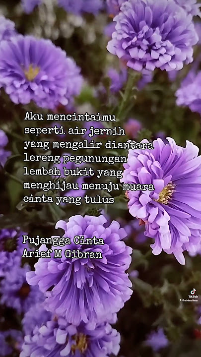 Aku Mencintaimu - Galeri Puisi Pujangga Cinta Arief M Gibran