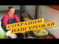 Как хранить лук и кабачки.