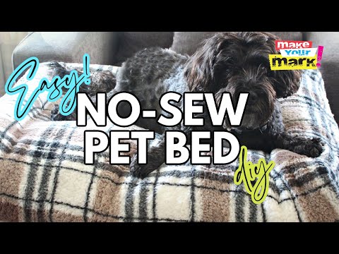 Video: How to Make No-Sew Pet Pillow
