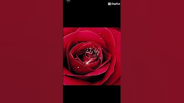 المصمم خالد قوجو kL ماتيسر من سورة الأنسان بصوت الشيخ القارئ محمد اللحيدان 🌹♥️🇵🇸