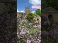 Spring at Oxford is very beautiful and relaxing. #reels #oxford