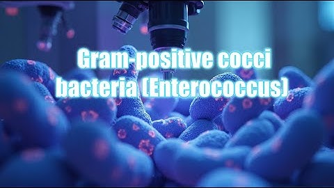 Enterococcus Explained | Types, Infections & Antibiotic Resistance