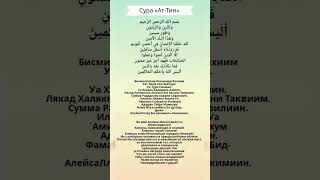 Сура 95 «Ат-Тин» (Смоковница)
