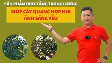 Bà con cho em Khánh biết chất lượng của bộ lên cơm nhé | Nông Nghiệp Tây Nguyên TKA