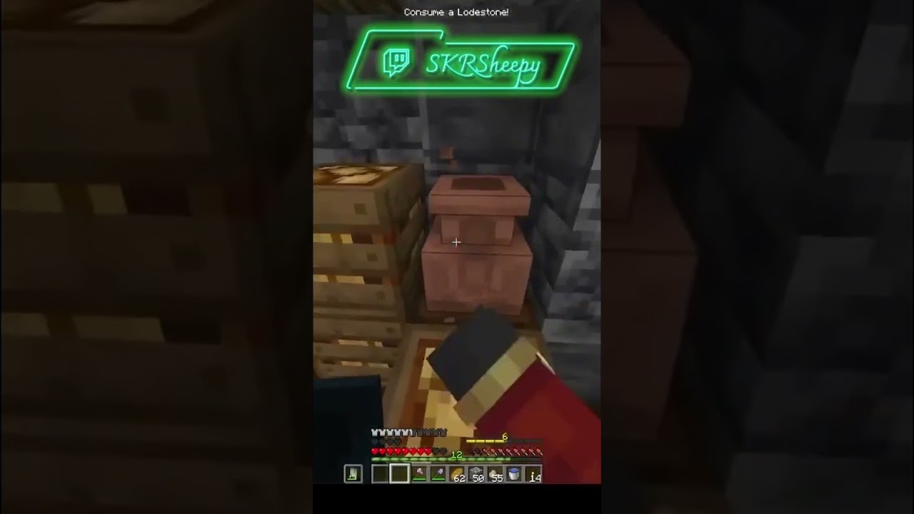 Casual Minecraft Vault Hunter experience… 