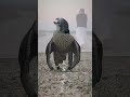 ياوجودي كل ماشرفت في روس الرجوم ياوجودي كل ماشرفت في روس الرجوم