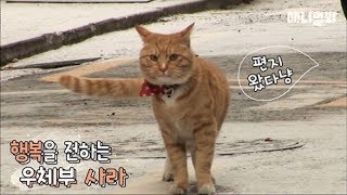 A cat which delivers note to people