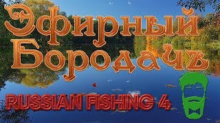 СТРИМ Russian Fishing 4. Предлагаю посидеть, порыбачить, пообщаться! Присоединяйтесь!