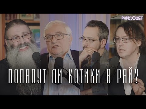 Видео: Спросите ветеринара: имеет ли значение, если моя собака пришла с мельницы для щенков?