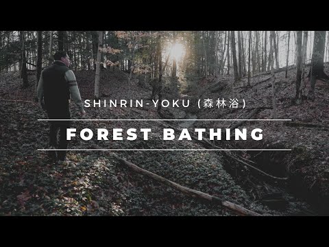 Video: Shinrin-yoku (forest bath) - idea, principles and influence on he alth