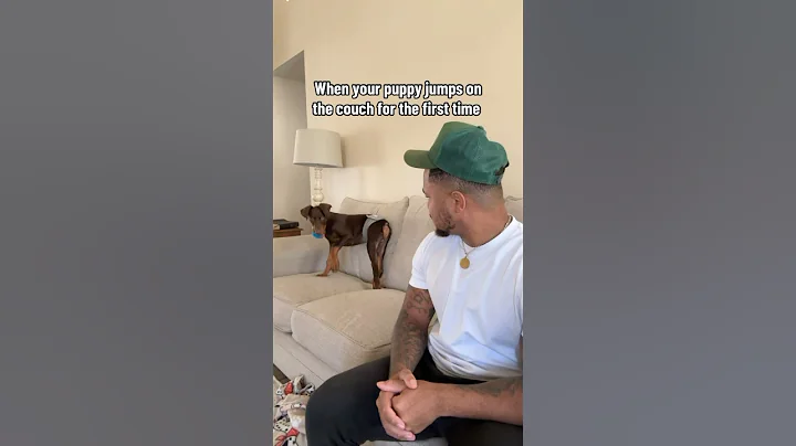 I am shooketh 🤣😭 #shorts #reels #explore