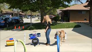 Magnificent TSAVO Virtual Trick Dog