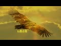 El Condor Pasa Mountain Eagle Song 山鹰之歌 El Condor Pasa Mountain Eagle Song 山鹰之歌