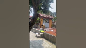 Hai vợ chồng tổng vệ sinh