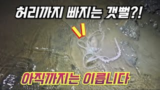 푹푹 빠지는 갯뻘에는 어떤 해산물들이 있을까, 모래밭보다 더 맛있는 해산물이 있을까요?!