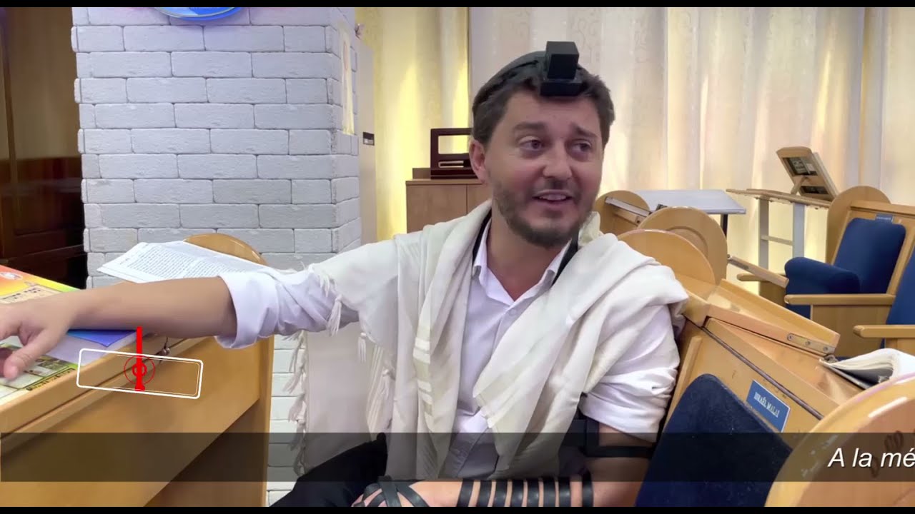 3MN DE TORAH POUR COMMENCER LA JOURNÉE - LA FOURMI QUI A TOUT COMPRIS