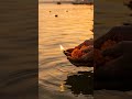 Application 3 - Simple offerings | Bhagavad Gita Wisdom