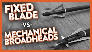 Fixed Blade vs Mechanical Broadheads