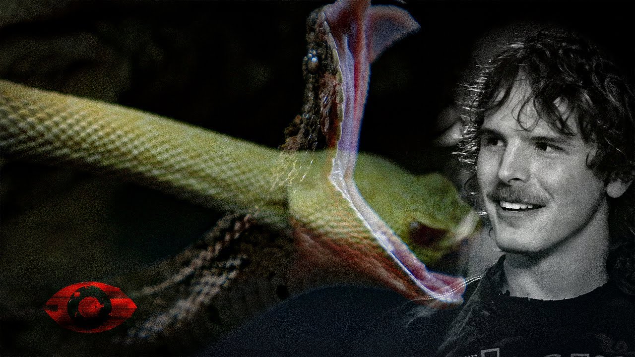 Idubbbz's troubled childhood (reptilian edit)
