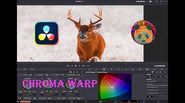 New Chroma Warp Colour Grading tool not all working in DaVinci Resolve 20.