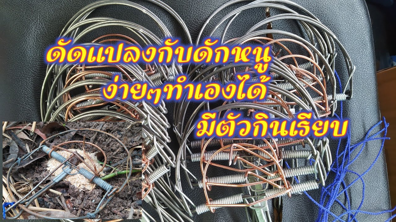 วิธีดัดแปลงกับดักหนูง่ายๆ ตีเร็วตีแม่น100%มีตัวโดนแน่/นักล่า วิถีอิสาน