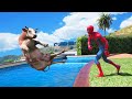 Gta 5 water ragdolls red spiderman vs cow euphoria physics funny moments
