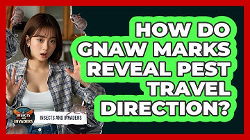 How Do Gnaw Marks Reveal Pest Travel Direction? - Insects and Invaders