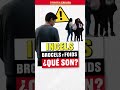 ⚠️ INCELS, brocels y foids. ¿Qué son y por qué preocupan estos términos? | #ExpansiónExplica
