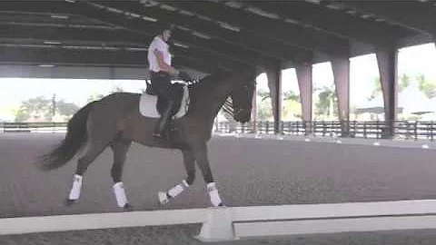 Allison Brock: What to do When Your Horse Hangs on...