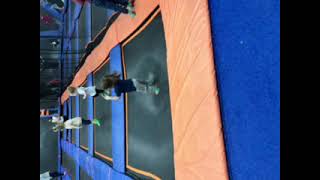 IMG 0208