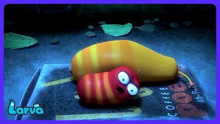 Larva - Chi russa la notte? 😴 | Cartoni per Bambini | WildBrain Fattoria