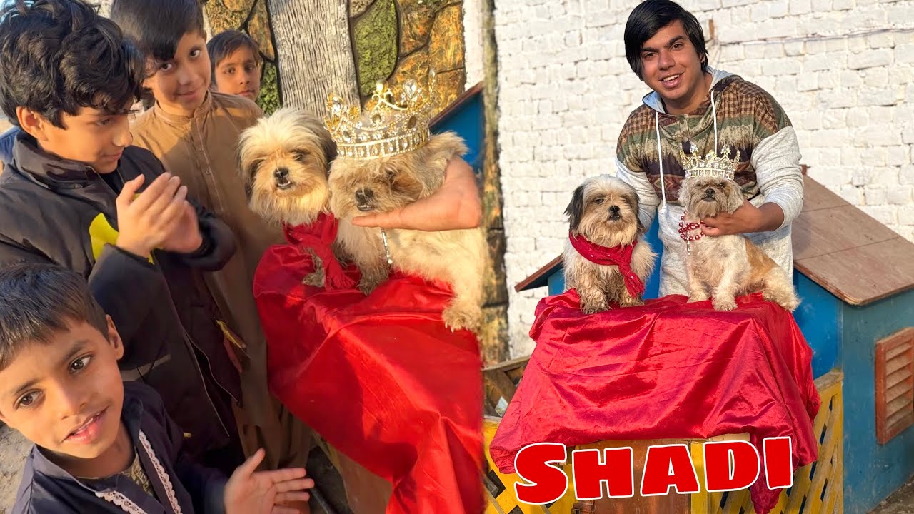 Bunty Ki Shadi Krwa Di 😍 Surprise Reveal ||