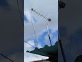 antena digital #shoppe